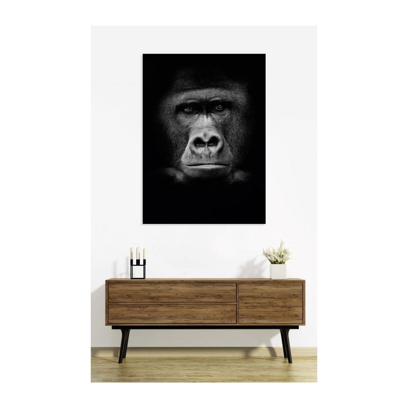 Póster GORILLE