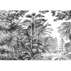 ANTIQUE ENGRAVING