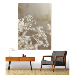 Póster GYPSOPHILA