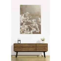 GYPSOPHILA poster