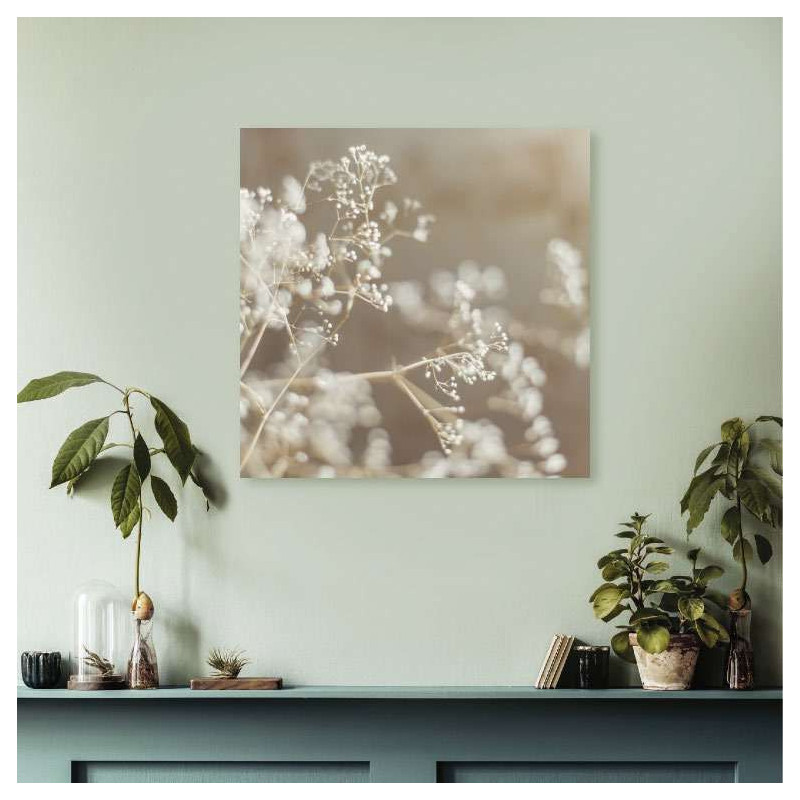 GYPSOPHILA poster