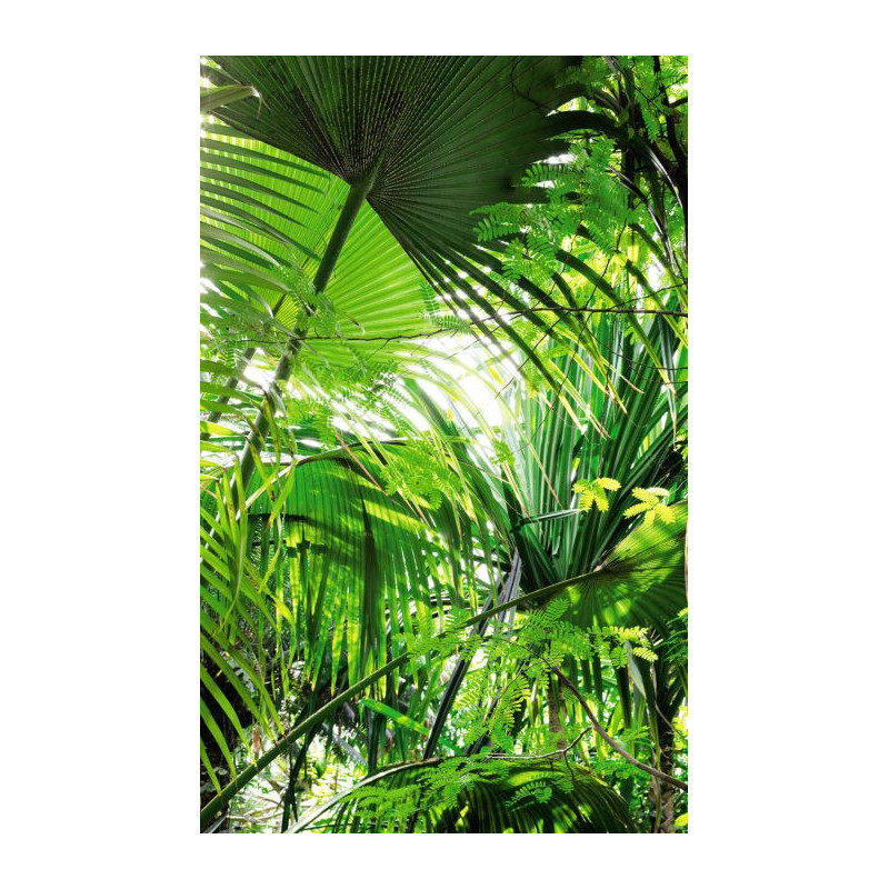 INIRIDIA wallpaper - Jungle wallpaper