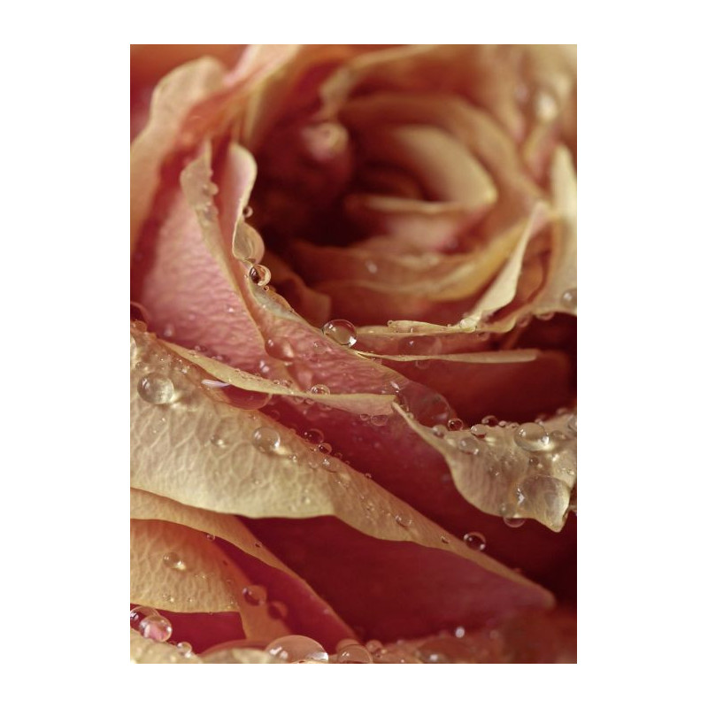Cuadro en lienzo INVITACIÓN - Lienzo rosa