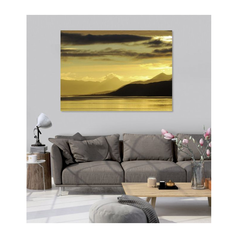 Póster PLAGO TURNER