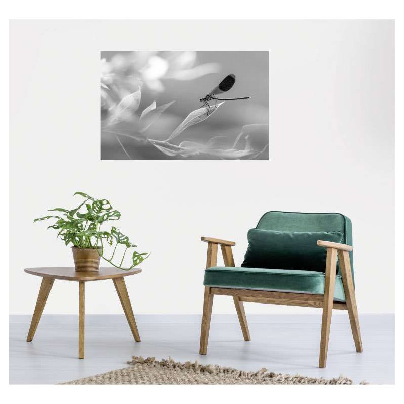 Poster LIBELLULE