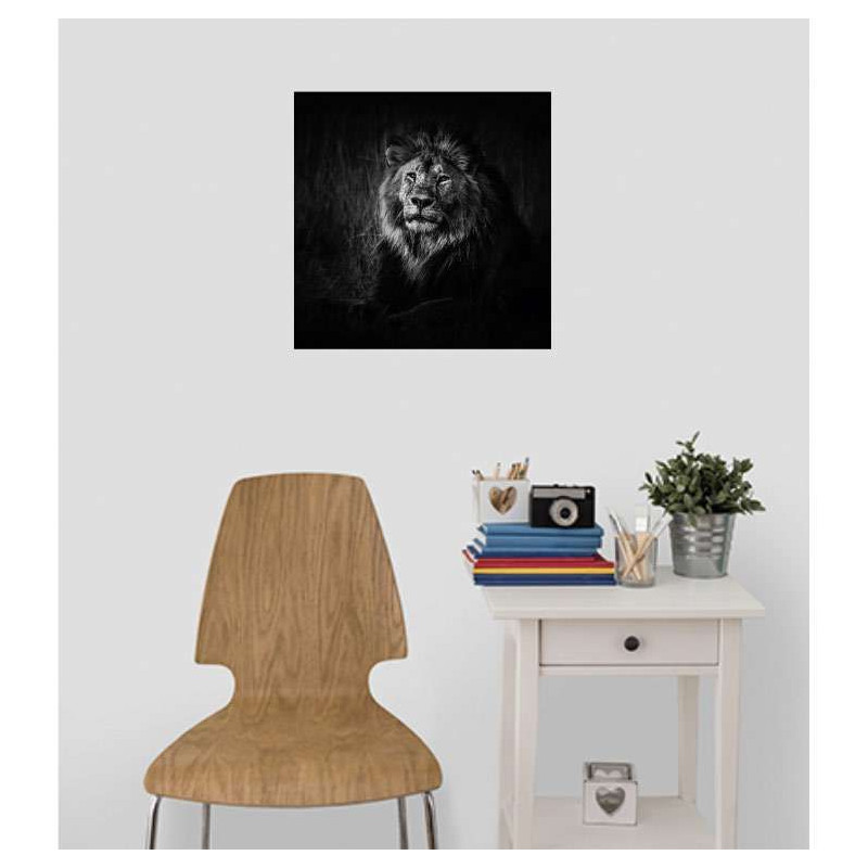 BLACK AND WHITE LION poster