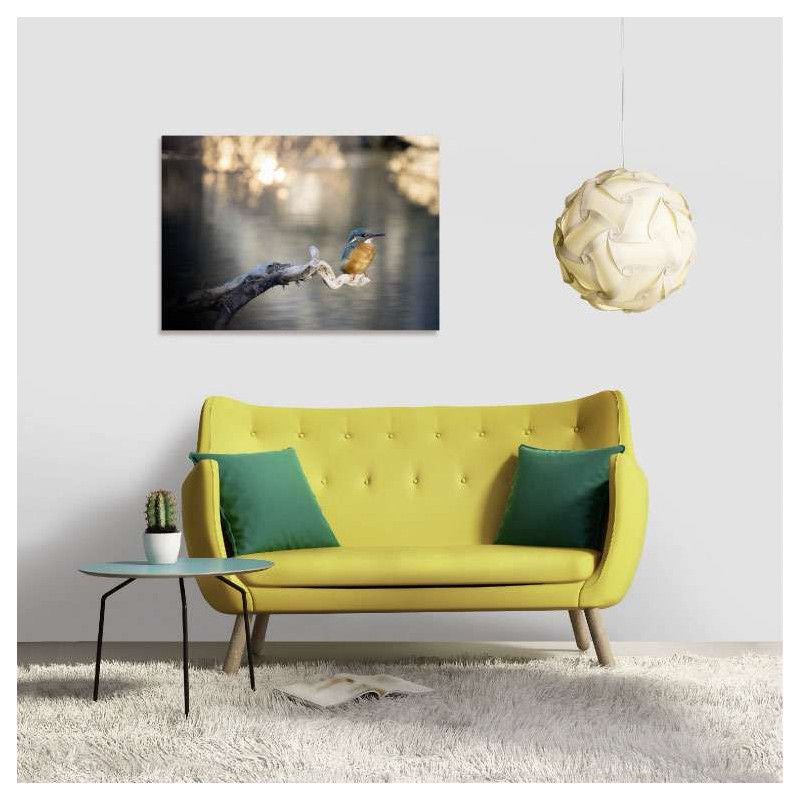Poster MARTIN PECHEUR