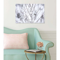 BOREAL SWAMP poster