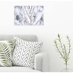Poster MESANGE BOREALE