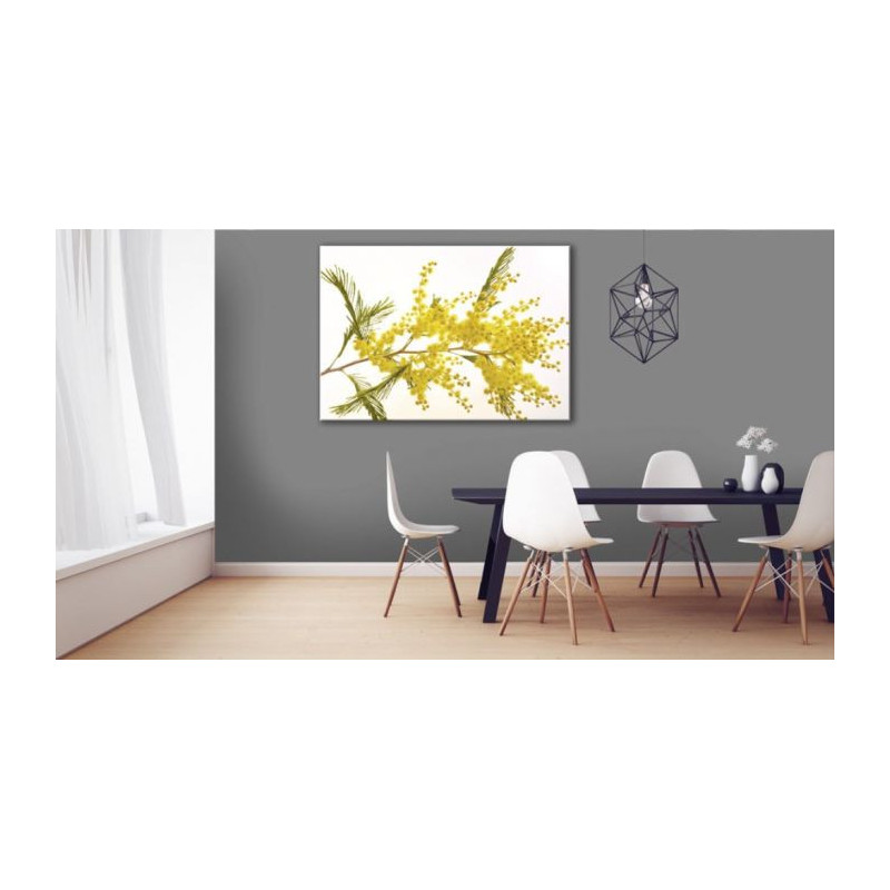 MIMOSA poster