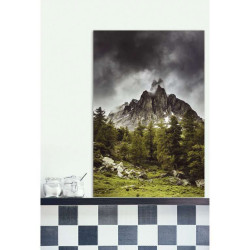 Póster NEVACHE