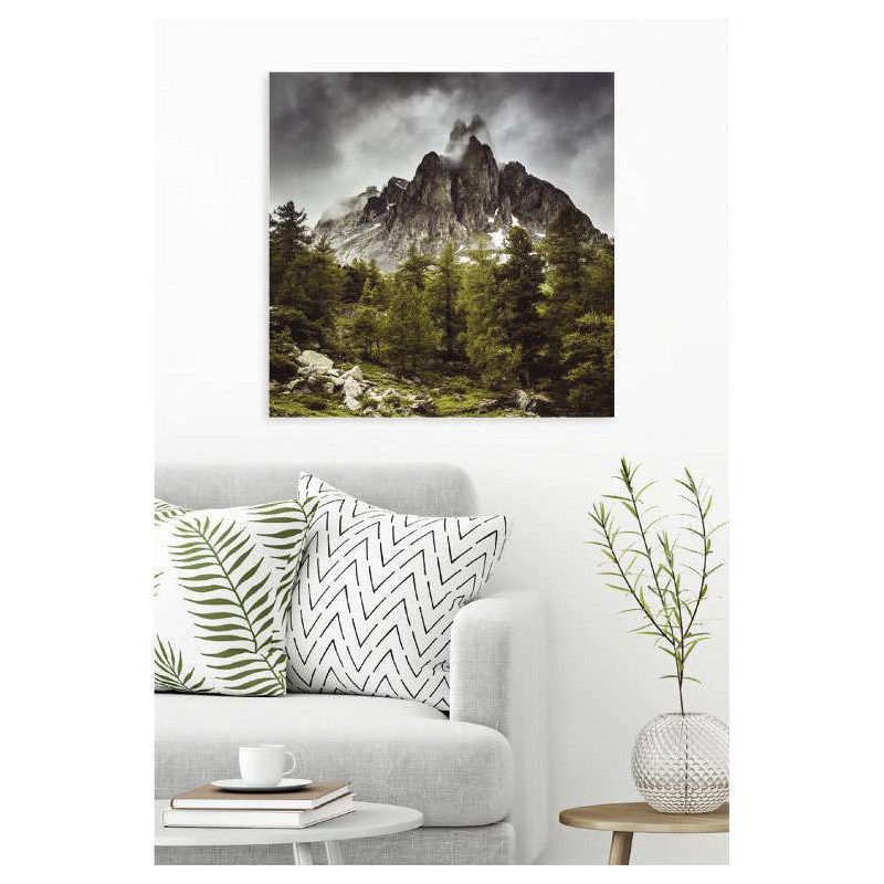Póster NEVACHE