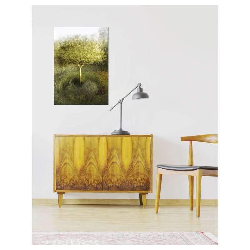 OLIVE TREE IN MY GARDEN poster
