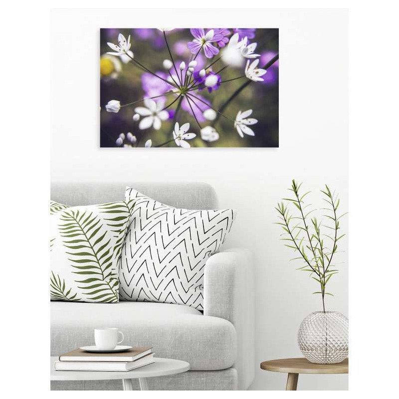 Poster OMBELLIFERE