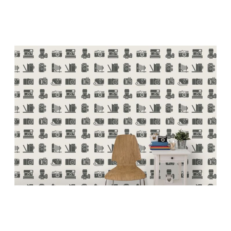 VINTAGE CAMERAS poster