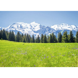 PAISAJE DEL MONT BLANC
