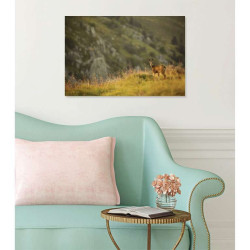 Poster PETIT CHAMOIS