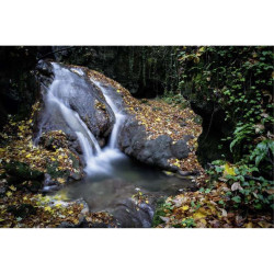 PEQUEÑA CASCADA DE OTOÑO