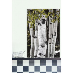 ASPEN USA poster