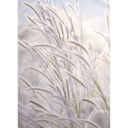 BOTANICAL BRUSH