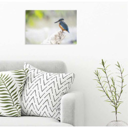Poster PLUMAGE BLEU