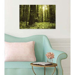 Poster SEQUOIA GEANT USA