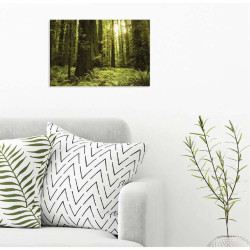 Poster SEQUOIA GEANT USA