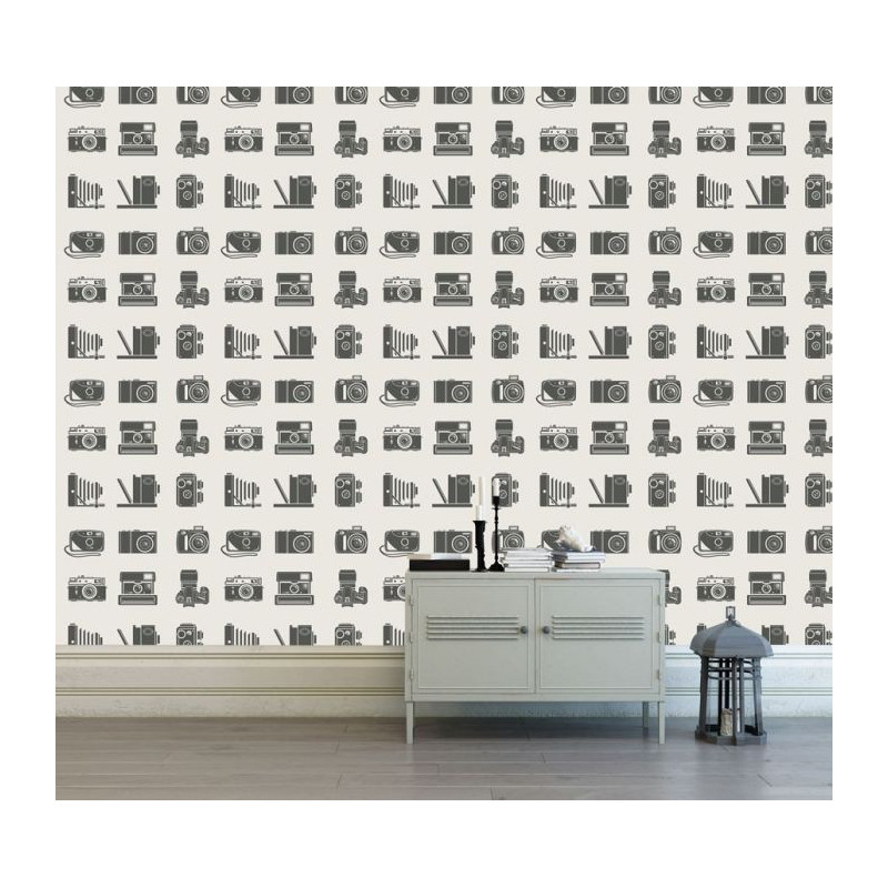 Papier Peint salon APPAREILS PHOTOS VINTAGE