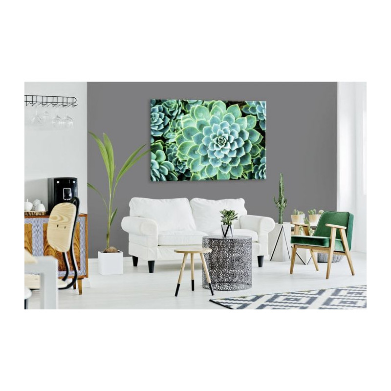 Póster decorativo de plantas suculentas suculentas