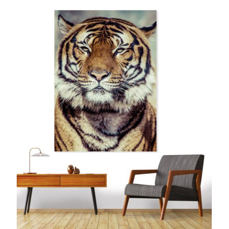 Tiger photo poster