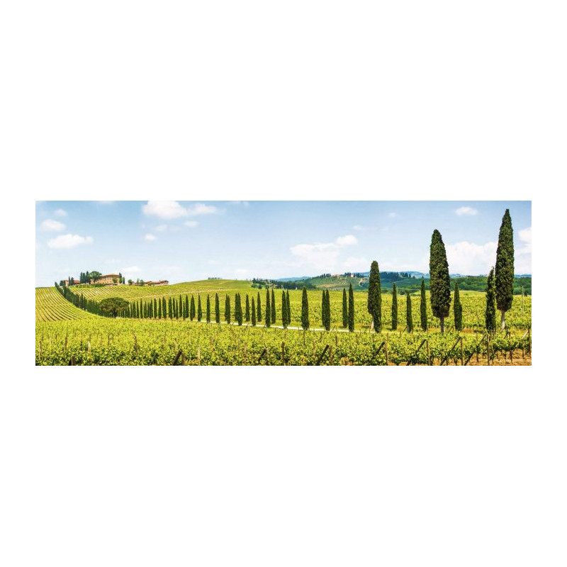 TUSCANY poster - Landscape and nature poster