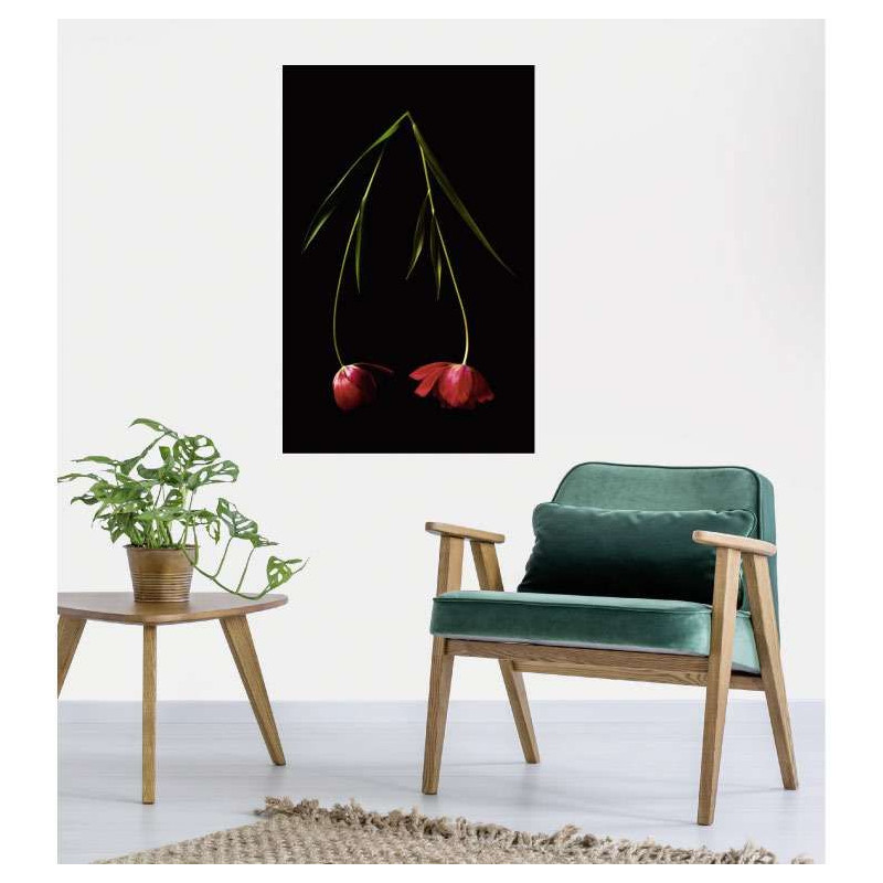 Poster TULIPA