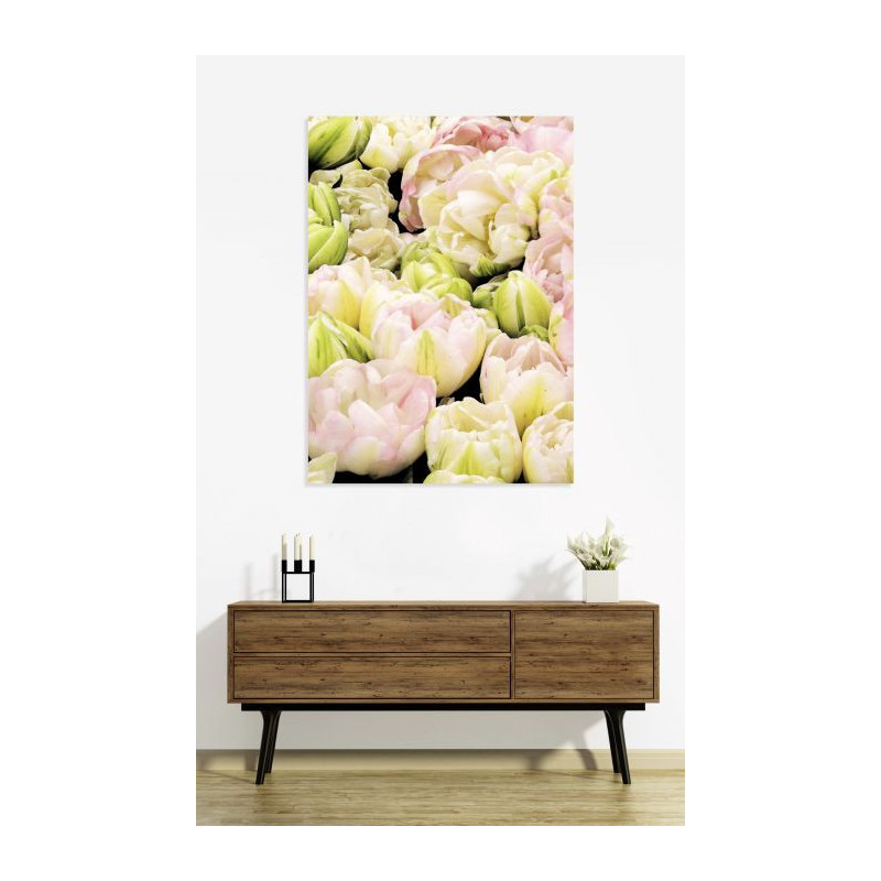 Poster TULIPES ROSES