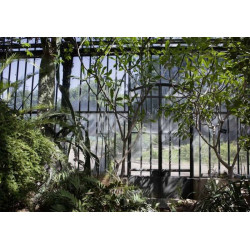 UN JARDIN TROPICAL