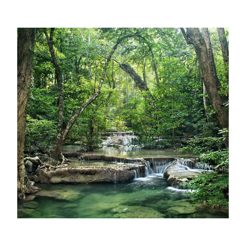 Poster panoramique nature et cascade dans la forêt d'émeraude