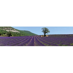 Brise vue LA PROVENCE