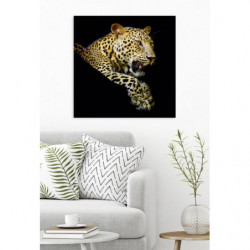 Lienzo impreso LA SIESTA DEL LEOPARDO