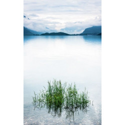 Papel pintado LAGO AZUL