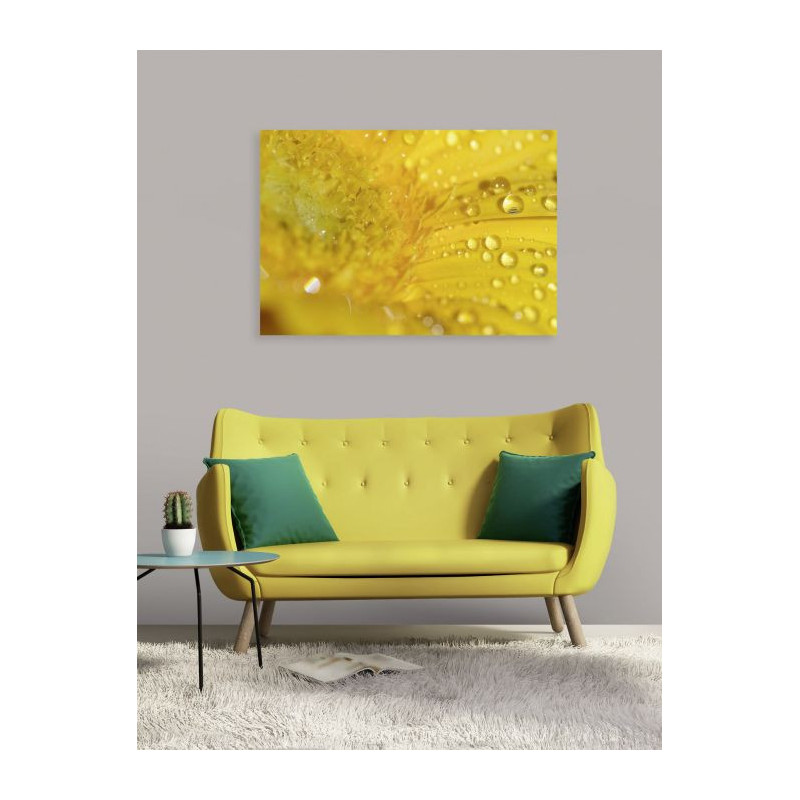 Tableau rosée sur fleur jaune