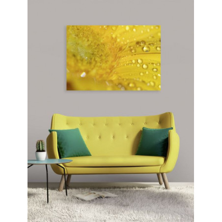 Tableau rosée sur fleur jaune