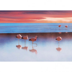Póster EL LAGO CON LOS FLAMENCOS ROSAS