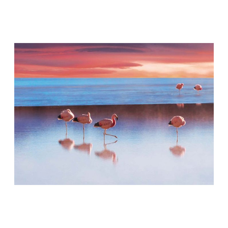 Poster XXL Flamants sur Fond Turquoise