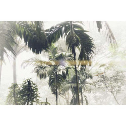 PALM TREES poster