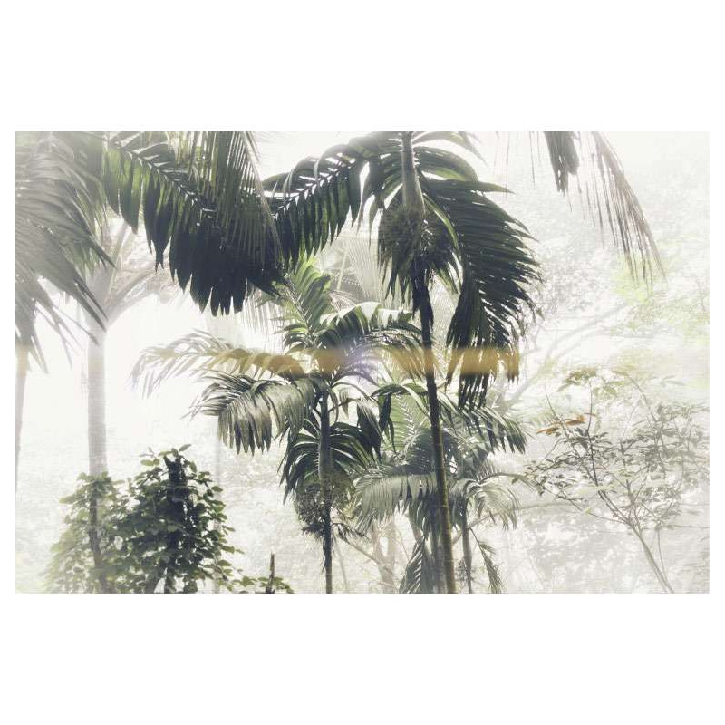 PALM TREES poster