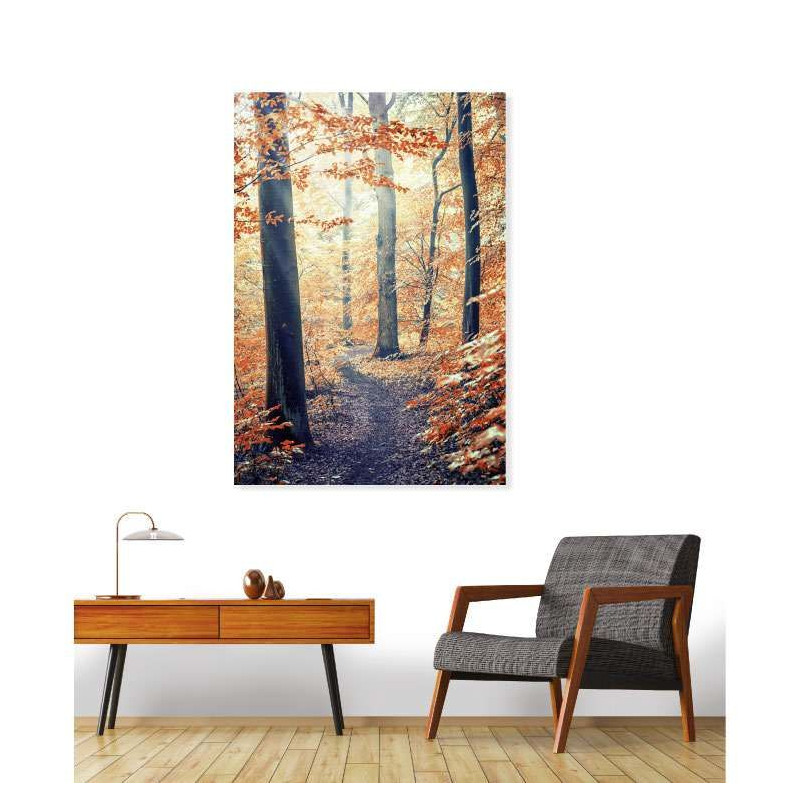 Poster VIBRATIONS D'AUTOMNE