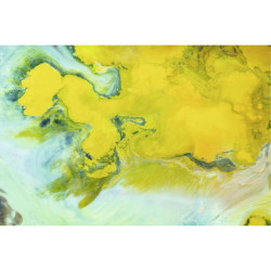 YELLOW PIGMENTS poster