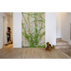 Papel pintado LIANA