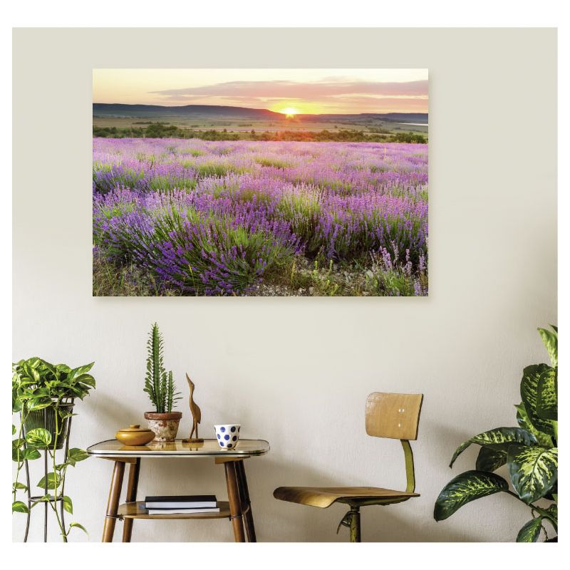 DAWN IN PROVENCE Poster