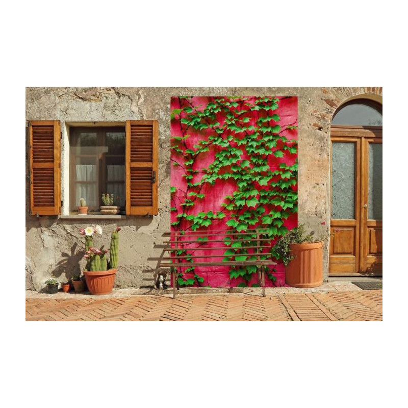 PURPLE IVY Privacy screen