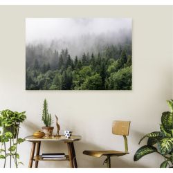 Póster NIEBLA EN EL BOSQUE